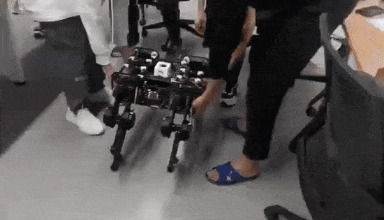 A quadruped robot with 12-DOF parallel legs
