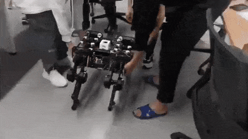 A quadruped robot with 12-DOF parallel legs